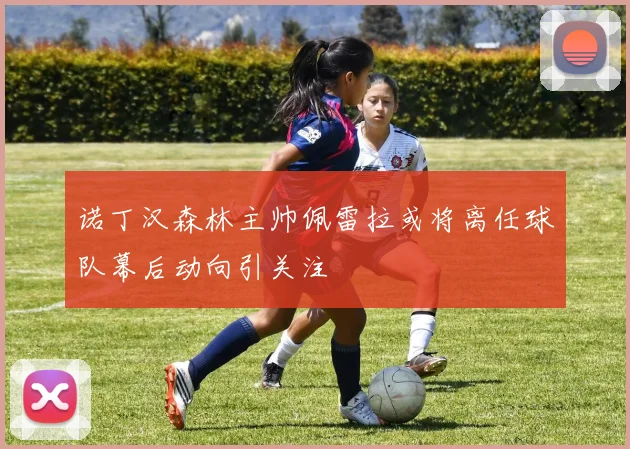 诺丁汉森林主帅佩雷拉或将离任球队幕后动向引关注